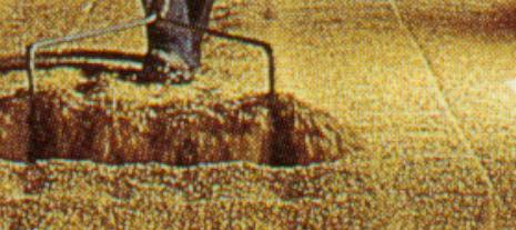 Malt